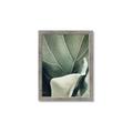 Picture of Sage Leaves  _GroupedProduct_Rectangle_Portrait_Photography _GroupedProduct_Rectangle_Portrait_Framed_Matted_