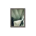 Picture of Sage Leaves  _GroupedProduct_Rectangle_Portrait_Photography _GroupedProduct_Rectangle_Portrait_Framed_Matted_