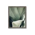 Picture of Sage Leaves  _GroupedProduct_Rectangle_Portrait_Photography _GroupedProduct_Rectangle_Portrait_Framed_Matted_