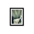 Picture of Sage Leaves  _GroupedProduct_Rectangle_Portrait_Photography _GroupedProduct_Rectangle_Portrait_Framed_Matted_