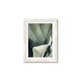 Picture of Sage Leaves  _GroupedProduct_Rectangle_Portrait_Photography _GroupedProduct_Rectangle_Portrait_Framed_Matted_