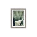 Picture of Sage Leaves  _GroupedProduct_Rectangle_Portrait_Photography _GroupedProduct_Rectangle_Portrait_Framed_Matted_
