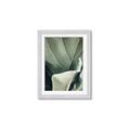 Picture of Sage Leaves  _GroupedProduct_Rectangle_Portrait_Photography _GroupedProduct_Rectangle_Portrait_Framed_Matted_