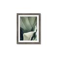 Picture of Sage Leaves  _GroupedProduct_Rectangle_Portrait_Photography _GroupedProduct_Rectangle_Portrait_Framed_Matted_