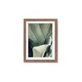 Picture of Sage Leaves  _GroupedProduct_Rectangle_Portrait_Photography _GroupedProduct_Rectangle_Portrait_Framed_Matted_