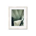 Picture of Sage Leaves  _GroupedProduct_Rectangle_Portrait_Photography _GroupedProduct_Rectangle_Portrait_Framed_Matted_