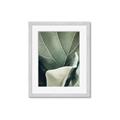 Picture of Sage Leaves  _GroupedProduct_Rectangle_Portrait_Photography _GroupedProduct_Rectangle_Portrait_Framed_Matted_