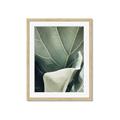 Picture of Sage Leaves  _GroupedProduct_Rectangle_Portrait_Photography _GroupedProduct_Rectangle_Portrait_Framed_Matted_