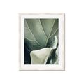 Picture of Sage Leaves  _GroupedProduct_Rectangle_Portrait_Photography _GroupedProduct_Rectangle_Portrait_Framed_Matted_