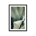 Picture of Sage Leaves  _GroupedProduct_Rectangle_Portrait_Photography _GroupedProduct_Rectangle_Portrait_Framed_Matted_