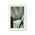 Picture of Sage Leaves  _GroupedProduct_Rectangle_Portrait_Photography _GroupedProduct_Rectangle_Portrait_Framed_Matted_