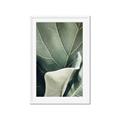 Picture of Sage Leaves  _GroupedProduct_Rectangle_Portrait_Photography _GroupedProduct_Rectangle_Portrait_Framed_Matted_
