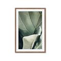 Picture of Sage Leaves  _GroupedProduct_Rectangle_Portrait_Photography _GroupedProduct_Rectangle_Portrait_Framed_Matted_