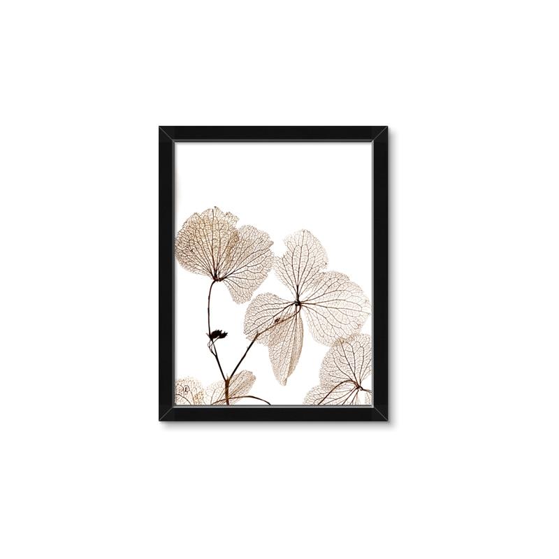 Picture of Sepia Botanic _GroupedProduct_Rectangle_Portrait_Photography _GroupedProduct_Rectangle_Portrait_Framed_Matted_
