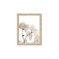 Picture of Sepia Botanic _GroupedProduct_Rectangle_Portrait_Photography _GroupedProduct_Rectangle_Portrait_Framed_Matted_