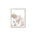 Picture of Sepia Botanic _GroupedProduct_Rectangle_Portrait_Photography _GroupedProduct_Rectangle_Portrait_Framed_Matted_