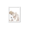 Picture of Sepia Botanic _GroupedProduct_Rectangle_Portrait_Photography _GroupedProduct_Rectangle_Portrait_Framed_Matted_