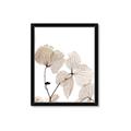 Picture of Sepia Botanic _GroupedProduct_Rectangle_Portrait_Photography _GroupedProduct_Rectangle_Portrait_Framed_Matted_