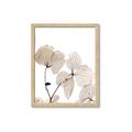 Picture of Sepia Botanic _GroupedProduct_Rectangle_Portrait_Photography _GroupedProduct_Rectangle_Portrait_Framed_Matted_