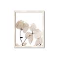 Picture of Sepia Botanic _GroupedProduct_Rectangle_Portrait_Photography _GroupedProduct_Rectangle_Portrait_Framed_Matted_