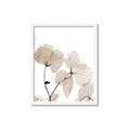 Picture of Sepia Botanic _GroupedProduct_Rectangle_Portrait_Photography _GroupedProduct_Rectangle_Portrait_Framed_Matted_