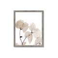 Picture of Sepia Botanic _GroupedProduct_Rectangle_Portrait_Photography _GroupedProduct_Rectangle_Portrait_Framed_Matted_