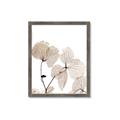 Picture of Sepia Botanic _GroupedProduct_Rectangle_Portrait_Photography _GroupedProduct_Rectangle_Portrait_Framed_Matted_