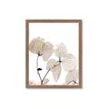 Picture of Sepia Botanic _GroupedProduct_Rectangle_Portrait_Photography _GroupedProduct_Rectangle_Portrait_Framed_Matted_