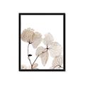 Picture of Sepia Botanic _GroupedProduct_Rectangle_Portrait_Photography _GroupedProduct_Rectangle_Portrait_Framed_Matted_