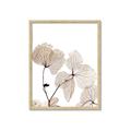 Picture of Sepia Botanic _GroupedProduct_Rectangle_Portrait_Photography _GroupedProduct_Rectangle_Portrait_Framed_Matted_