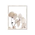 Picture of Sepia Botanic _GroupedProduct_Rectangle_Portrait_Photography _GroupedProduct_Rectangle_Portrait_Framed_Matted_