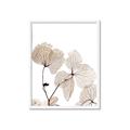 Picture of Sepia Botanic _GroupedProduct_Rectangle_Portrait_Photography _GroupedProduct_Rectangle_Portrait_Framed_Matted_