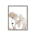 Picture of Sepia Botanic _GroupedProduct_Rectangle_Portrait_Photography _GroupedProduct_Rectangle_Portrait_Framed_Matted_