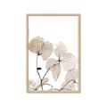 Picture of Sepia Botanic _GroupedProduct_Rectangle_Portrait_Photography _GroupedProduct_Rectangle_Portrait_Framed_Matted_
