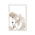 Picture of Sepia Botanic _GroupedProduct_Rectangle_Portrait_Photography _GroupedProduct_Rectangle_Portrait_Framed_Matted_