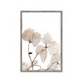 Picture of Sepia Botanic _GroupedProduct_Rectangle_Portrait_Photography _GroupedProduct_Rectangle_Portrait_Framed_Matted_