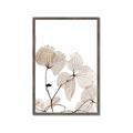 Picture of Sepia Botanic _GroupedProduct_Rectangle_Portrait_Photography _GroupedProduct_Rectangle_Portrait_Framed_Matted_