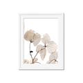 Picture of Sepia Botanic _GroupedProduct_Rectangle_Portrait_Photography _GroupedProduct_Rectangle_Portrait_Framed_Matted_