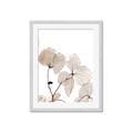 Picture of Sepia Botanic _GroupedProduct_Rectangle_Portrait_Photography _GroupedProduct_Rectangle_Portrait_Framed_Matted_