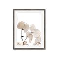 Picture of Sepia Botanic _GroupedProduct_Rectangle_Portrait_Photography _GroupedProduct_Rectangle_Portrait_Framed_Matted_