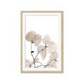 Picture of Sepia Botanic _GroupedProduct_Rectangle_Portrait_Photography _GroupedProduct_Rectangle_Portrait_Framed_Matted_