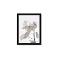 Picture of Sprout & Jar _GroupedProduct_Rectangle_Portrait_Photography _GroupedProduct_Rectangle_Portrait_Framed_Matted_