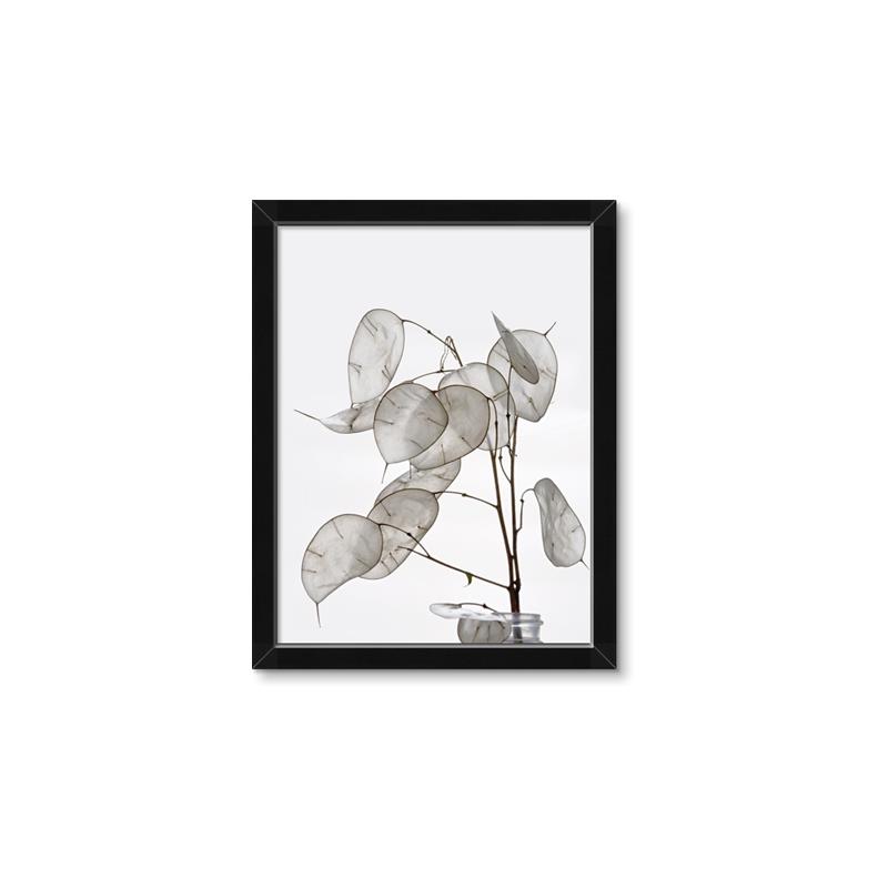 Picture of Sprout & Jar _GroupedProduct_Rectangle_Portrait_Photography _GroupedProduct_Rectangle_Portrait_Framed_Matted_