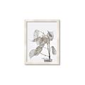 Picture of Sprout & Jar _GroupedProduct_Rectangle_Portrait_Photography _GroupedProduct_Rectangle_Portrait_Framed_Matted_
