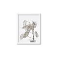 Picture of Sprout & Jar _GroupedProduct_Rectangle_Portrait_Photography _GroupedProduct_Rectangle_Portrait_Framed_Matted_