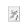 Picture of Sprout & Jar _GroupedProduct_Rectangle_Portrait_Photography _GroupedProduct_Rectangle_Portrait_Framed_Matted_