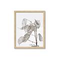 Picture of Sprout & Jar _GroupedProduct_Rectangle_Portrait_Photography _GroupedProduct_Rectangle_Portrait_Framed_Matted_
