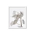 Picture of Sprout & Jar _GroupedProduct_Rectangle_Portrait_Photography _GroupedProduct_Rectangle_Portrait_Framed_Matted_