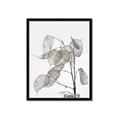 Picture of Sprout & Jar _GroupedProduct_Rectangle_Portrait_Photography _GroupedProduct_Rectangle_Portrait_Framed_Matted_