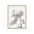 Picture of Sprout & Jar _GroupedProduct_Rectangle_Portrait_Photography _GroupedProduct_Rectangle_Portrait_Framed_Matted_